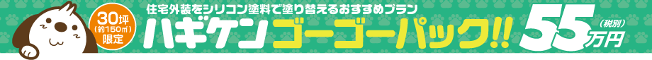 住宅外装をシリコン塗料で塗り替えるおすすめプラン　ハギケン ゴーゴーパック!!